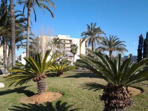Primera Linea En Playa Sur. Plaza Constitucion Peñíscola Dış mekan fotoğraf